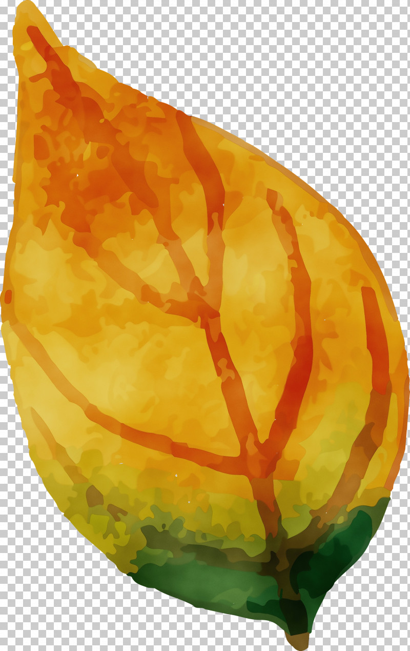 Gourd PNG, Clipart, Gourd, Paint, Watercolor, Watercolor Autumn, Watercolor Autumn Leaf Free PNG Download