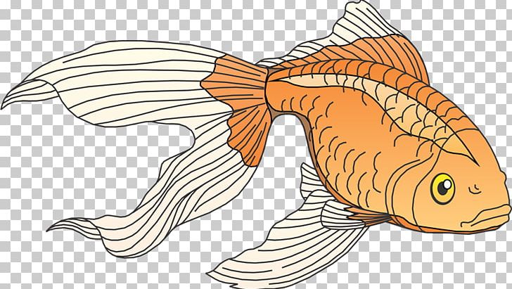 Coloring Book Koi Tropical Fish Saltwater Fish PNG, Clipart, Adult, Animal Figure, Aquatic Animal, Artwork, Bass Free PNG Download