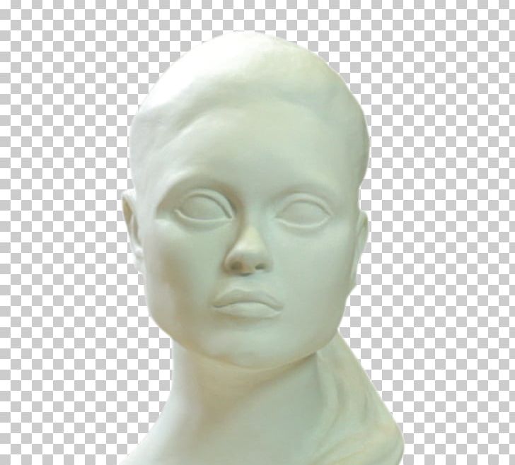 Forehead Classical Sculpture Mannequin Jaw Chin PNG, Clipart, Chin, Classical Sculpture, Face, Figurine, Forehead Free PNG Download