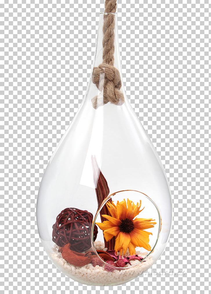 Glass Bottle Vase PNG, Clipart, Bottle, Flowers, Glass, Glass Bottle, Sk Ayer Lanas Free PNG Download