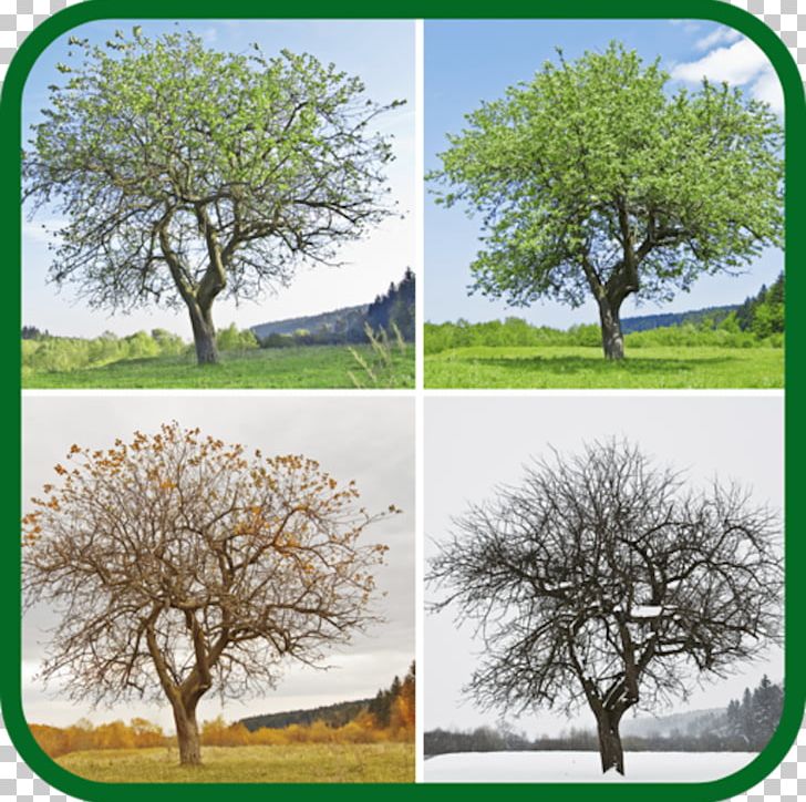 Earth Stock Photography Season Winter PNG, Clipart, 4 Seasons, Autumn, Branch, Depositphotos, Earth Free PNG Download