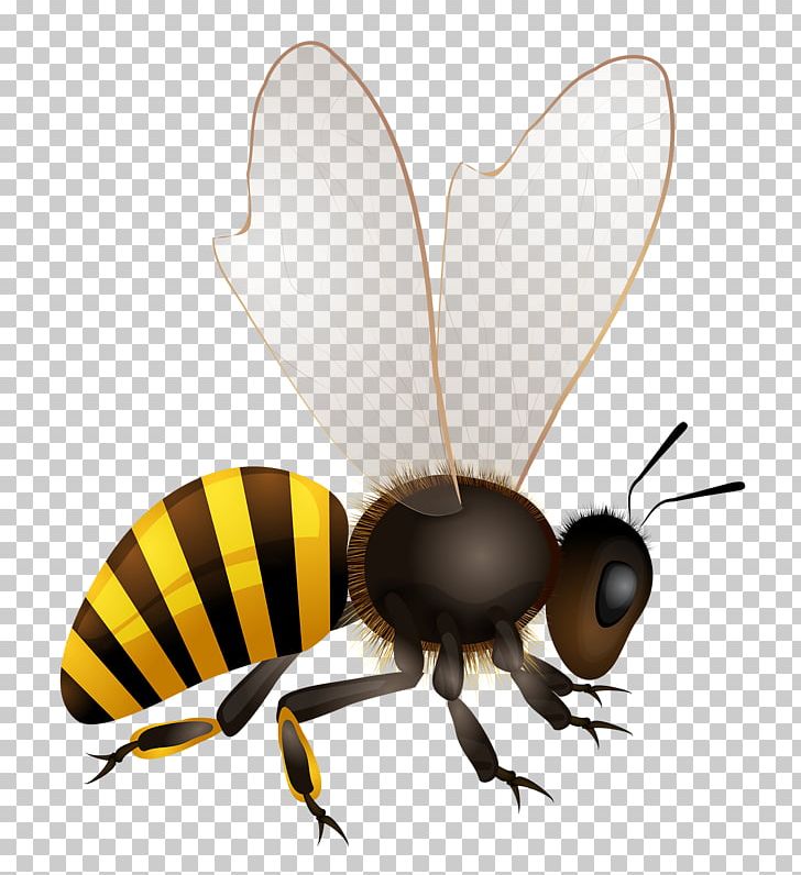 Honey Bee Hornet Illustration PNG, Clipart, Arthropod, Bee, Beehive, Bee Hive, Bee Honey Free PNG Download