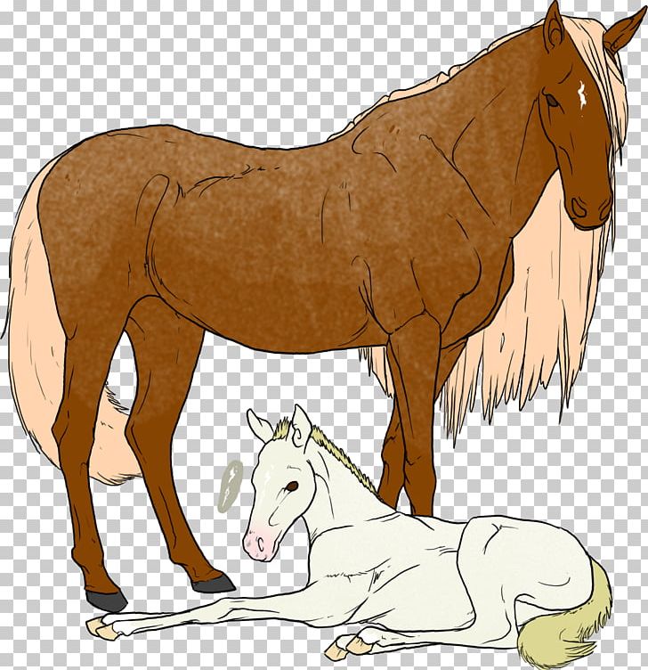 Mule Foal Mustang Stallion Colt PNG, Clipart, Animal Figure, Bridle, Cartoon, Colt, Donkey Free PNG Download