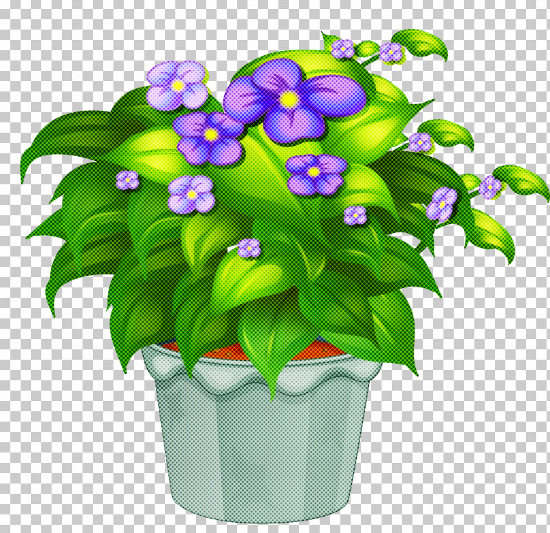 Flower Flowerpot Plant Violet Houseplant PNG, Clipart, Flower, Flowerpot, Houseplant, Petal, Plant Free PNG Download