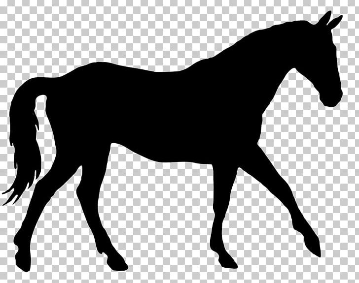 American Quarter Horse Silhouette Equestrian PNG, Clipart, Animals, Black, Black And White, Bridle, Collection Free PNG Download