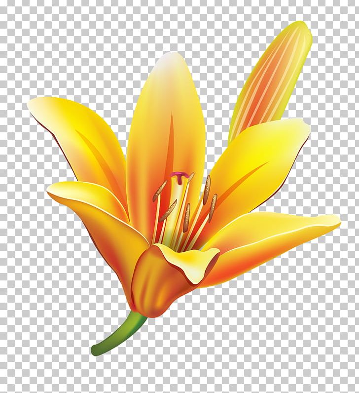 Plant Stem PNG, Clipart, Art, Artificial Flower, Clip Art, Daylily, Flower Free PNG Download