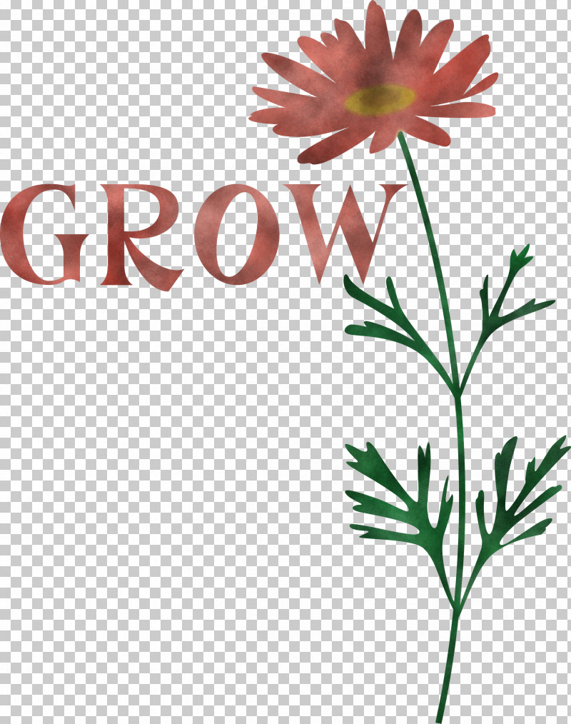 GROW Flower PNG, Clipart, Chrysanthemum, Drawing, Flower, Grow, Size Free PNG Download