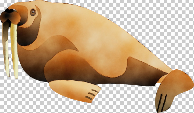 Seals Snout Beak Animal Figurine Biology PNG, Clipart, Animal Figurine, Beak, Biology, Paint, Science Free PNG Download