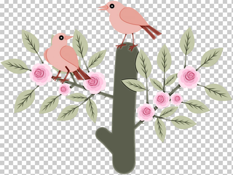 Bird Branch Pink Plant Flower PNG, Clipart, Beak, Bird, Blossom, Branch, Flower Free PNG Download