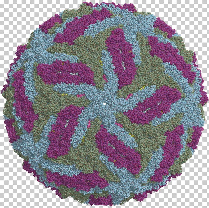 Zika Virus Transmission Electron Cryomicroscopy Electron Microscope Microcephaly PNG, Clipart, Adenoviridae, Cell, Cir, Cryogenic Electron Microscopy, Disease Free PNG Download