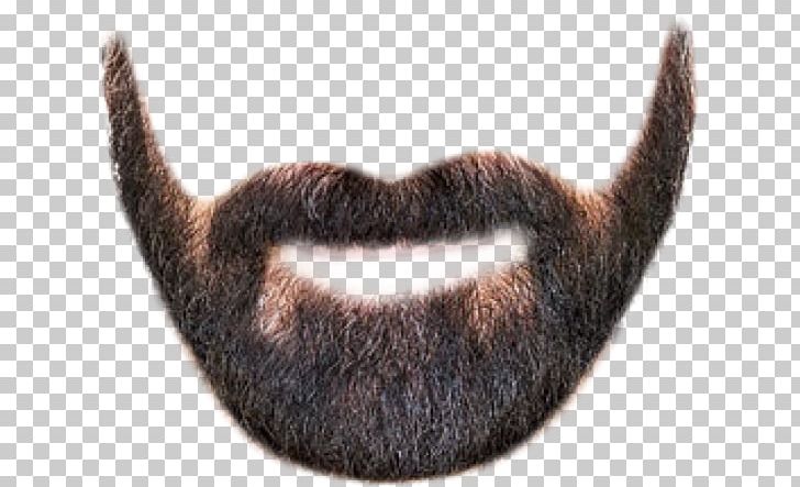 Beard Moustache Shaving Portable Network Graphics PNG, Clipart, Barber, Beard, Cabelo, Cat, Facial Hair Free PNG Download