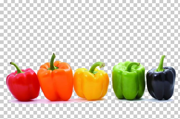 Bell Pepper Vegetable Chili Pepper Color Food PNG, Clipart, Bell Peppers And Chili Peppers, Caijiao, Caps, Capsicum, Color Free PNG Download