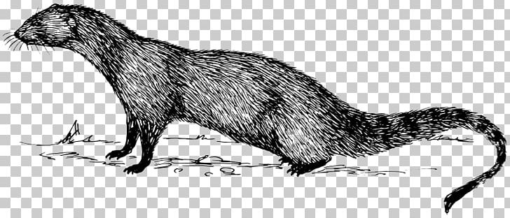 Indian Gray Mongoose Drawing PNG, Clipart, Cape Gray Mongoose, Carnivoran, Dog Like Mammal, Drawing, Egyptian Mongoose Free PNG Download