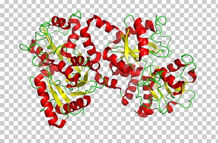Lactoferrin: Structure PNG, Clipart, Analysis, Casein, Flower, Flowering Plant, Food Free PNG Download