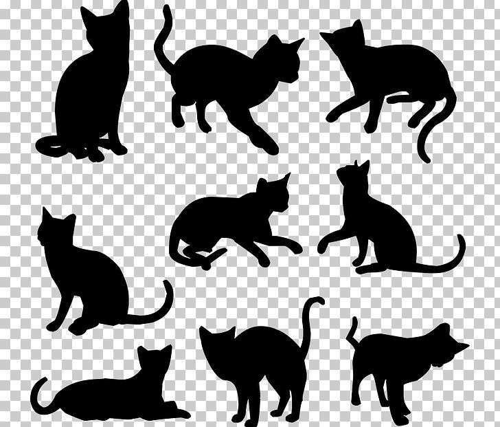 Black Cat Kitten Silhouette PNG, Clipart, Animal, Animals, Biological, Black, Bluza Free PNG Download