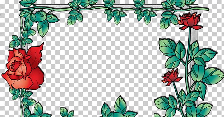 Floral Design Frames Flower Photography Petal PNG, Clipart, Android, Aptoide, Artwork, Border, Branch Free PNG Download