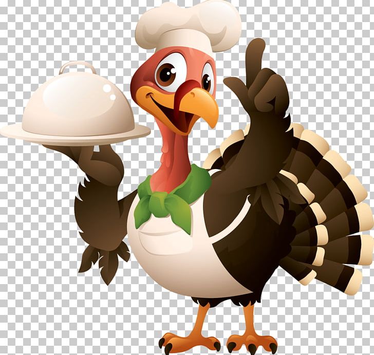Turkey Thanksgiving PNG, Clipart, Art, Beak, Bird, Cartoon, Chicken Free PNG Download
