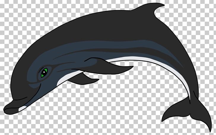 Common Bottlenose Dolphin Short-beaked Common Dolphin White-beaked Dolphin Tucuxi Wholphin PNG, Clipart, Art, Beak, Bottlenose Dolphin, Common Bottlenose Dolphin, Dolphin Free PNG Download