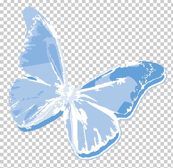 Butterfly Newsletter Email United States Book PNG, Clipart, Blue, Blue Butterfly, Book, Butterflies And Moths, Butterfly Free PNG Download