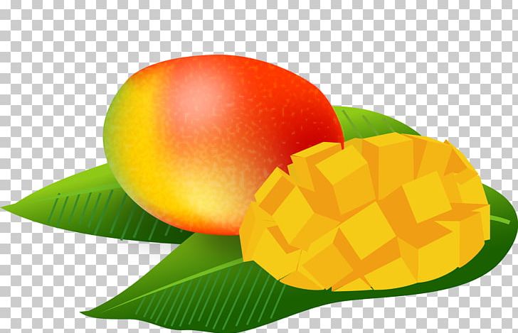 Mangifera Indica Tropical Fruit Art PNG, Clipart, Art, Diet Food, Food, Fruit, Illustrator Free PNG Download