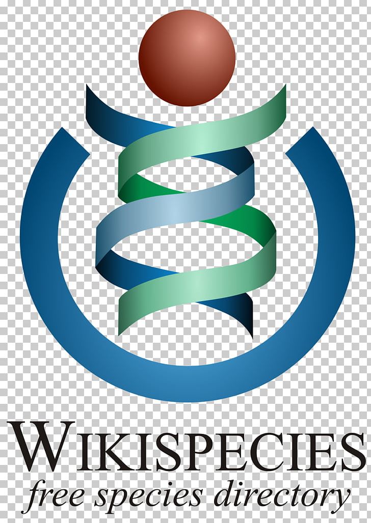 Wikimedia Foundation Wikipedia Wikispecies Wikimedia Project PNG, Clipart, Area, Artwork, Brand, Charitable Organization, Circle Free PNG Download