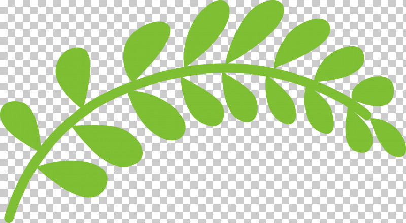 Plant Stem Leaf Green Line Meter PNG, Clipart, Biology, Green, Leaf, Line, Meter Free PNG Download