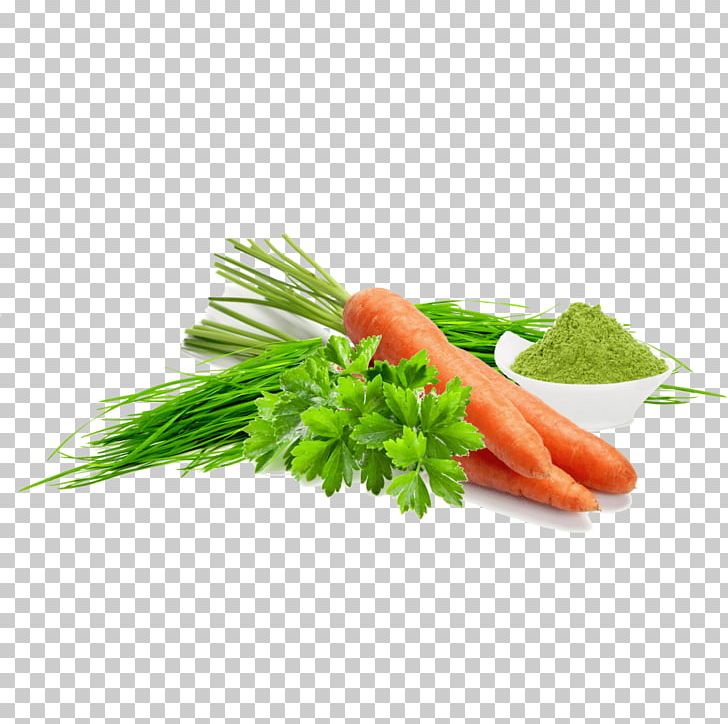 Baby Carrot Dietary Supplement Detoxification Food Vitamin PNG, Clipart, Alternative Health Services, Baby Carrot, Carrot, Cell, Detoxification Free PNG Download