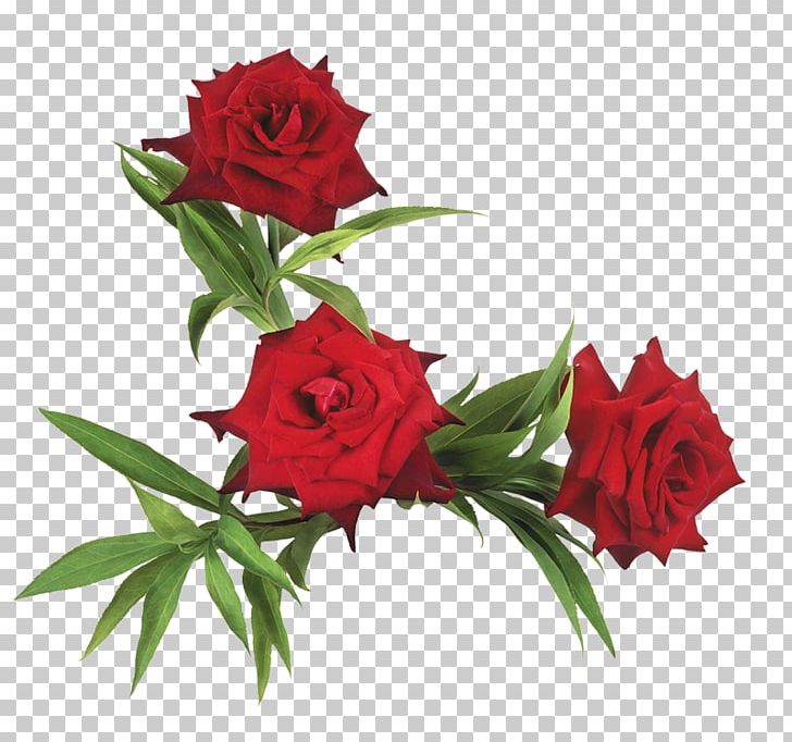 Flower Garden Roses PNG, Clipart, Cut Flowers, Flora, Floristry, Flower, Flower Arranging Free PNG Download