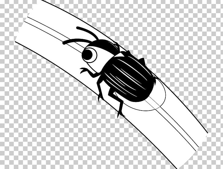 Insect Firefly Illustration Design PNG, Clipart, Angle, Black, Black And White, Black M, Download Free PNG Download