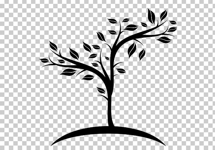 Computer Icons Fruit Tree PNG, Clipart, Artwork, Black And White, Branch, Cedar, Computer Icons Free PNG Download