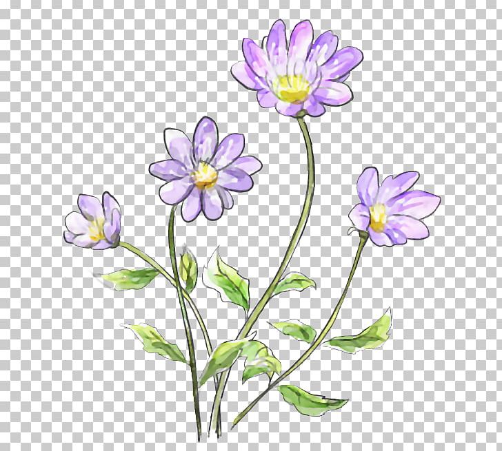 Flower Watercolor Painting PNG, Clipart, Art, Bellflower Family, Color, Daisy, Flora Free PNG Download