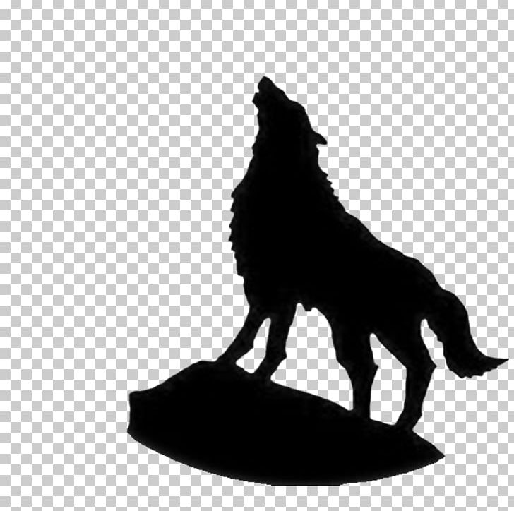 Indian Wolf Samsung Galaxy S9 Screensaver PNG, Clipart, Black, Business, Dog Like Mammal, Fight, Fighting Free PNG Download