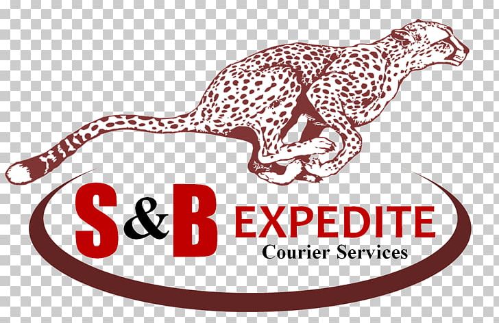 S&B Expedite Courier Delivery Brand Customer PNG, Clipart, Area, Biobased Maine, Brand, Business, Cargo Free PNG Download