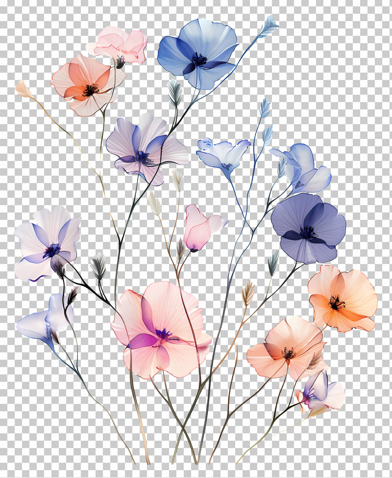 Delicate Watercolor Flowers - Delicate Watercolor Flowers In Bloom PNG