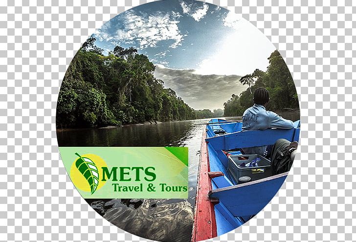 Mets Travel & Tours Suriname Colakreek New York Mets Tourism PNG, Clipart, Airline Ticket, Brand, Ecosystem, Jungle View Resort Ranthambhore, Leisure Free PNG Download