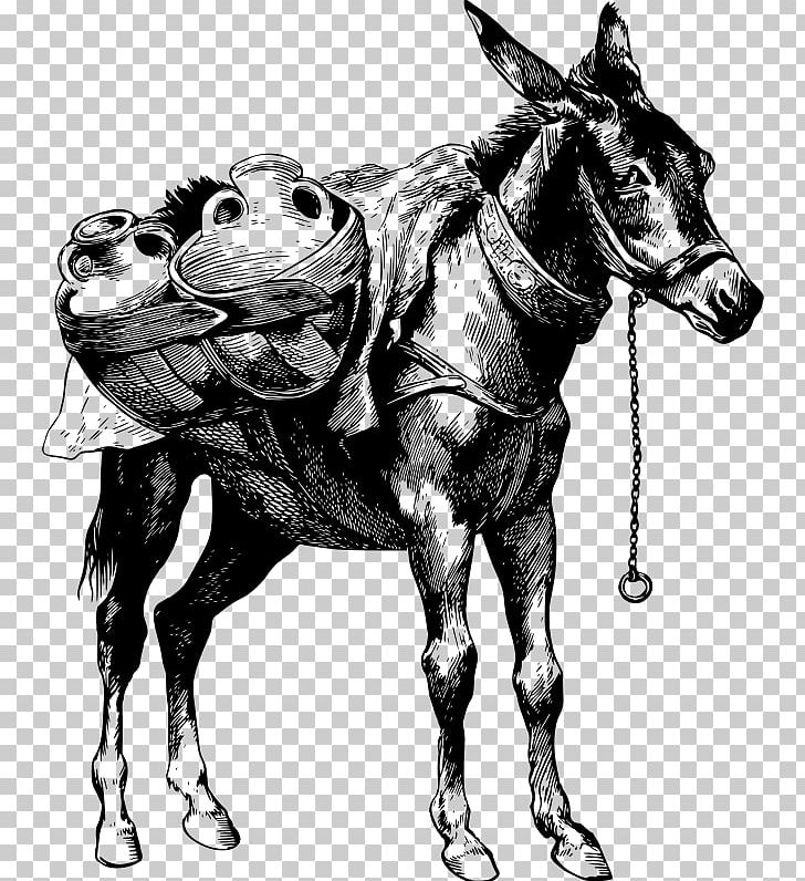 Mule Donkey Horse Stallion PNG, Clipart, Animals, Art, Black And White, Bridle, Computer Icons Free PNG Download