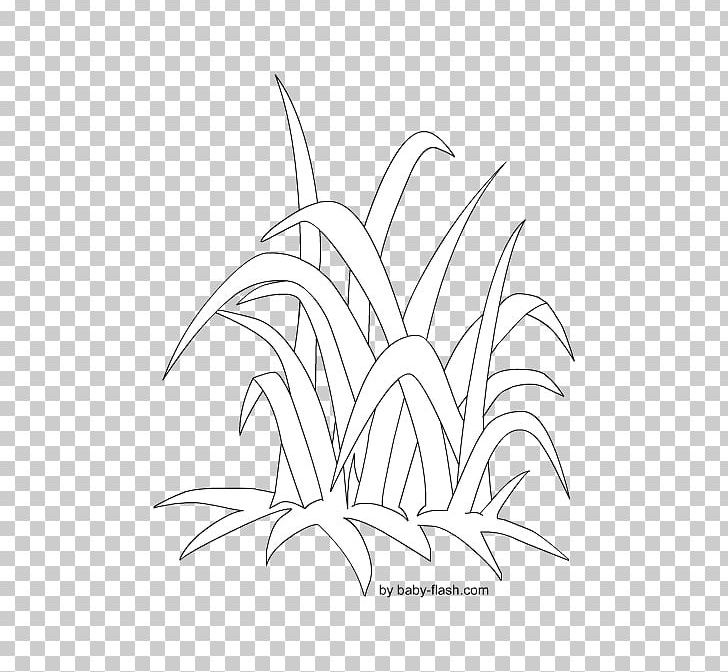 Plant Stem Line Art Leaf Sketch PNG, Clipart, Angle, Artwork, Baby Album Ruled Pages, Black And White, Branch Free PNG Download