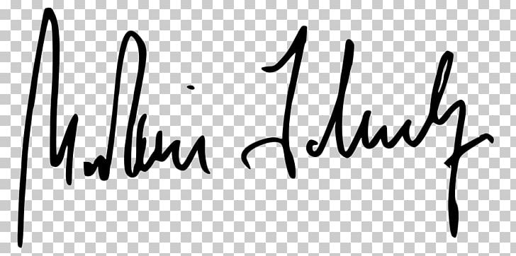Signature Internet Media Type Handwriting PNG, Clipart, Angle, Area, Art, Black, Black And White Free PNG Download
