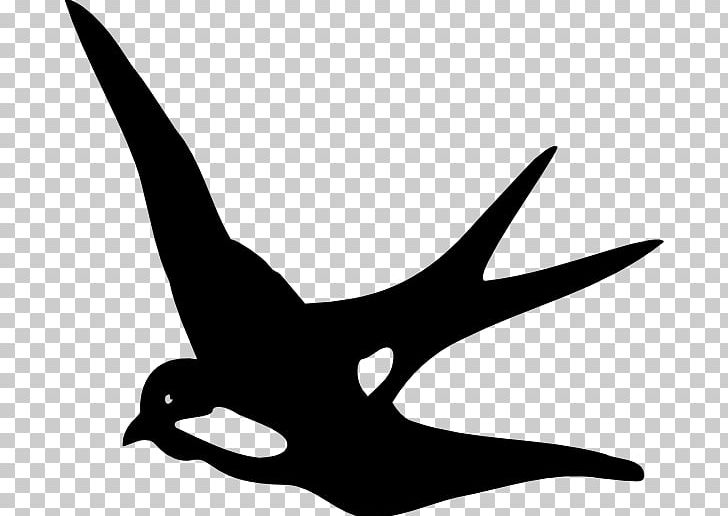Swallow PNG, Clipart, Animals, Barn Swallow, Beak, Bird, Bird Flight Free PNG Download