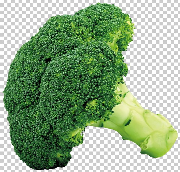 Broccoli Cruciferous Vegetables Cauliflower Cabbage PNG, Clipart, Bell Pepper, Brassica Oleracea, Broccoli, Broccoli Slaw, Cabbage Free PNG Download