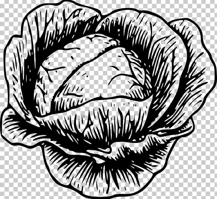 Cabbage Vegetable Drawing PNG, Clipart, Artwork, Black And White, Broccoli, Cabbage, Chinese Cabbage Free PNG Download