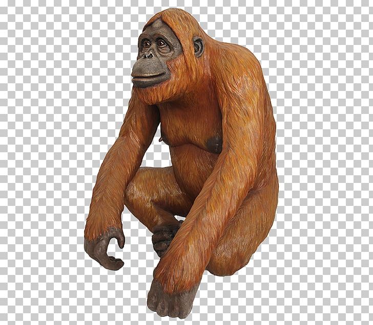 Gorilla Chimpanzee Orangutan Primate Monkey PNG, Clipart, Animals, Ape, Artikel, Assortment Strategies, Chimpanzee Free PNG Download