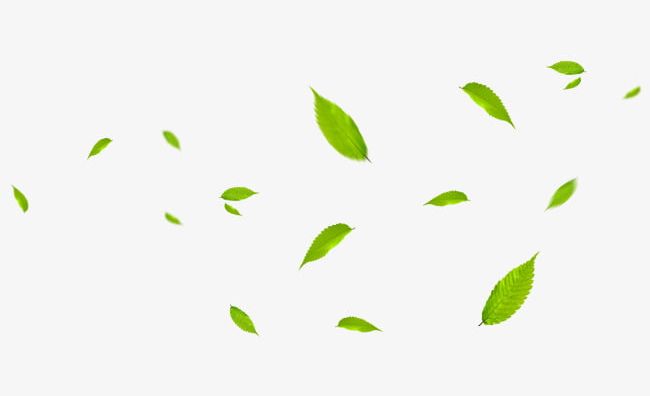 Green Leaves Fly With The Wind PNG, Clipart, Breath, Down, Falling, Falling Down, Fly Clipart Free PNG Download