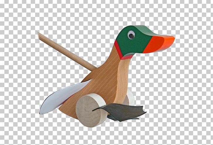 Duck /m/083vt Wood PNG, Clipart, Animals, Beak, Bird, Duck, Ducks Geese And Swans Free PNG Download