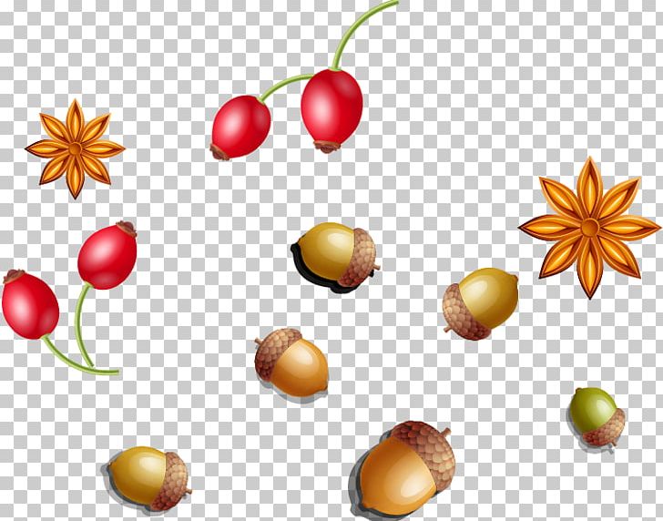 Mykolaiv Raion PNG, Clipart, Food, Free Logo Design Template, Free Vector, Fruit, Happy Birthday Vector Images Free PNG Download