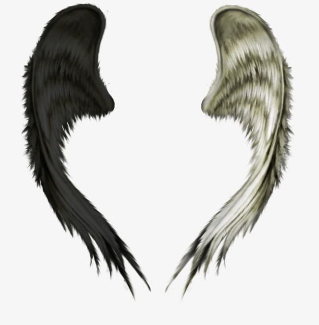 Wing PNG, Clipart, Angel, Animation, Black, Black And White, Demon Free PNG Download