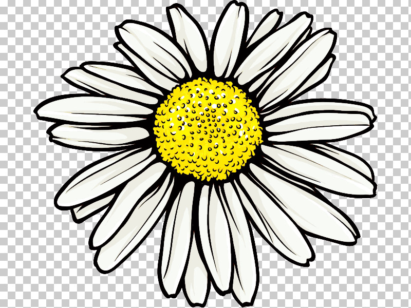 Marguerite Gerbera Daisy PNG, Clipart, Abstract Art, Autumn Flower, Black  And White, Cartoon, Color Free PNG