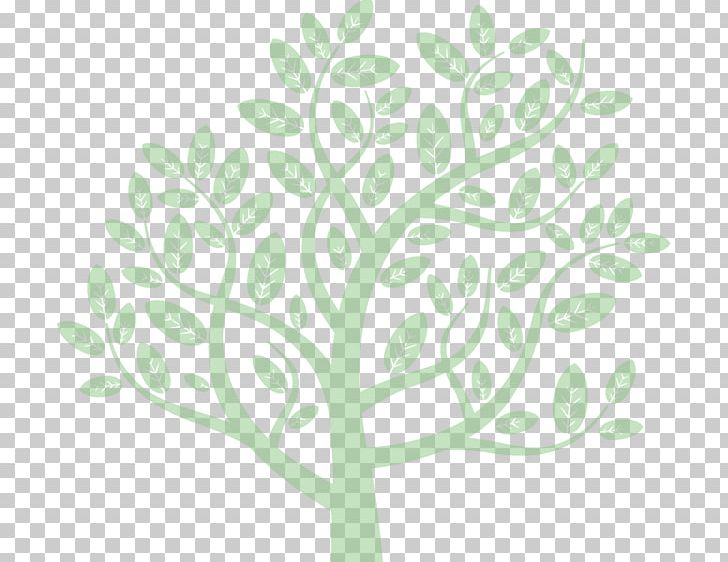 Branch Tree Root Leaf PNG, Clipart, Branch, Drawing, Flora, Floral Design, Green Free PNG Download