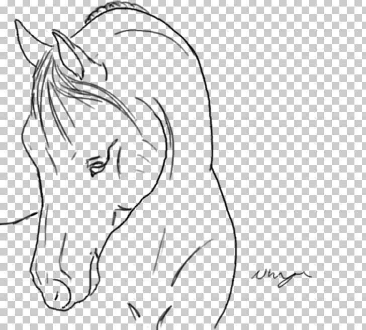Horse Ear Drawing Line Art Sketch PNG, Clipart, Area, Arm, Black, Black And White, Cartoon Free PNG Download