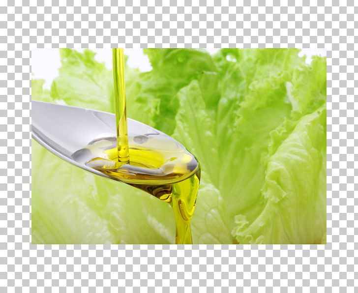 Vegetable Oil Food Health Sesame Oil PNG, Clipart, Colza Oil, Cooking Oils, Food, Health, Leaf Vegetable Free PNG Download